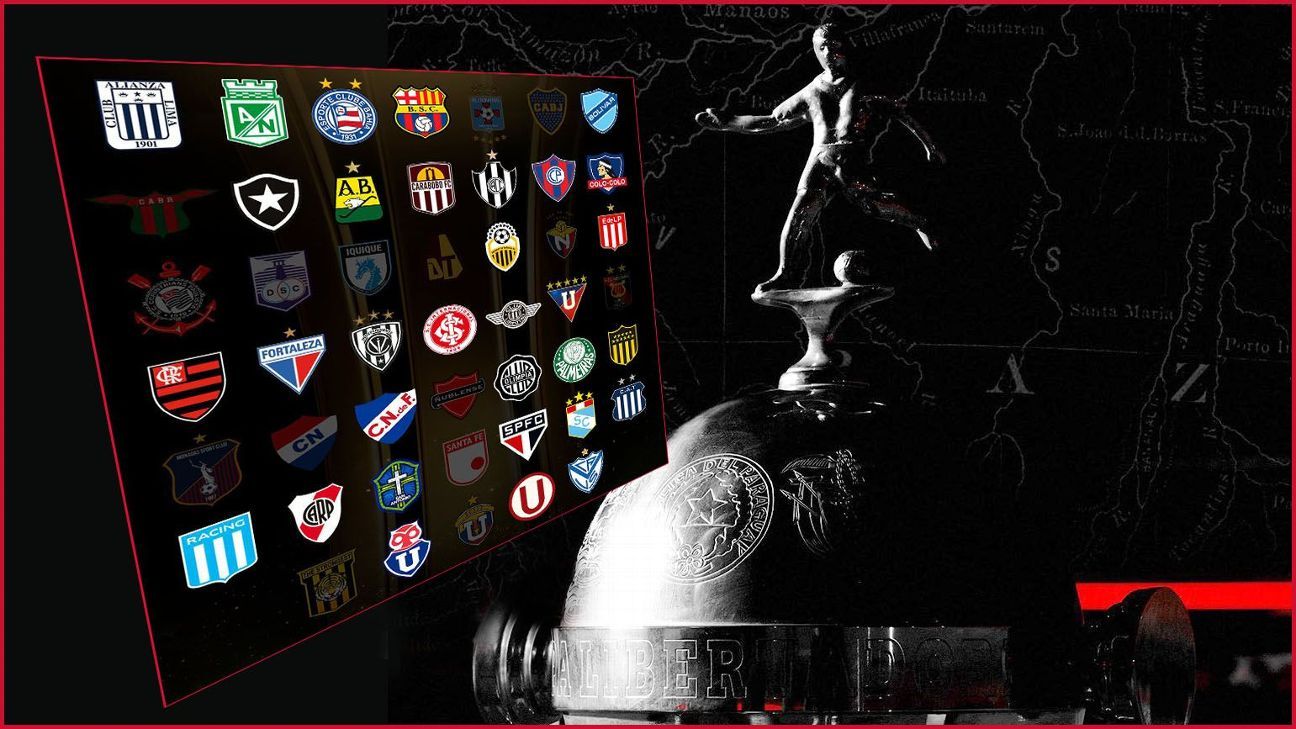 How are the Libertadores Conmebol Positions Tables 2025