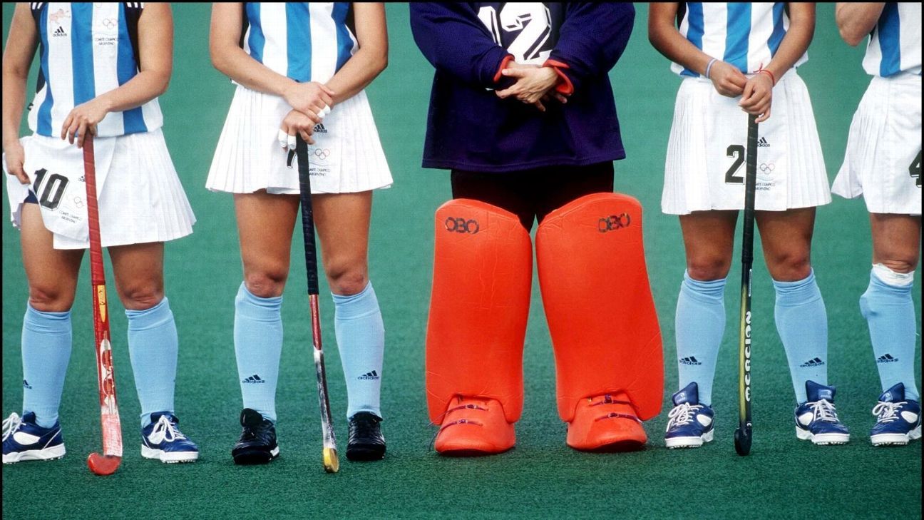 What clubs arose the Sydney lions